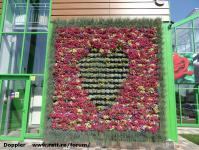 Imagine atasata: Glissando Garden Center - 2015.05.19 - 02.jpg